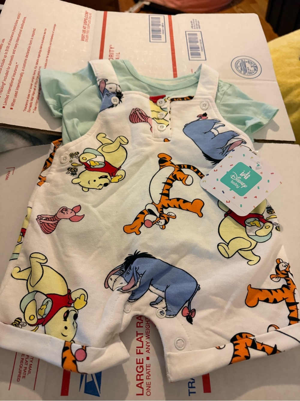 Disney Baby Pooh Baby Boys Size 3-6 months Overalls Shirt Set Shortalls New NWT